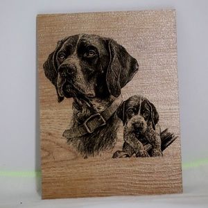 Hunting Dog With Puppy